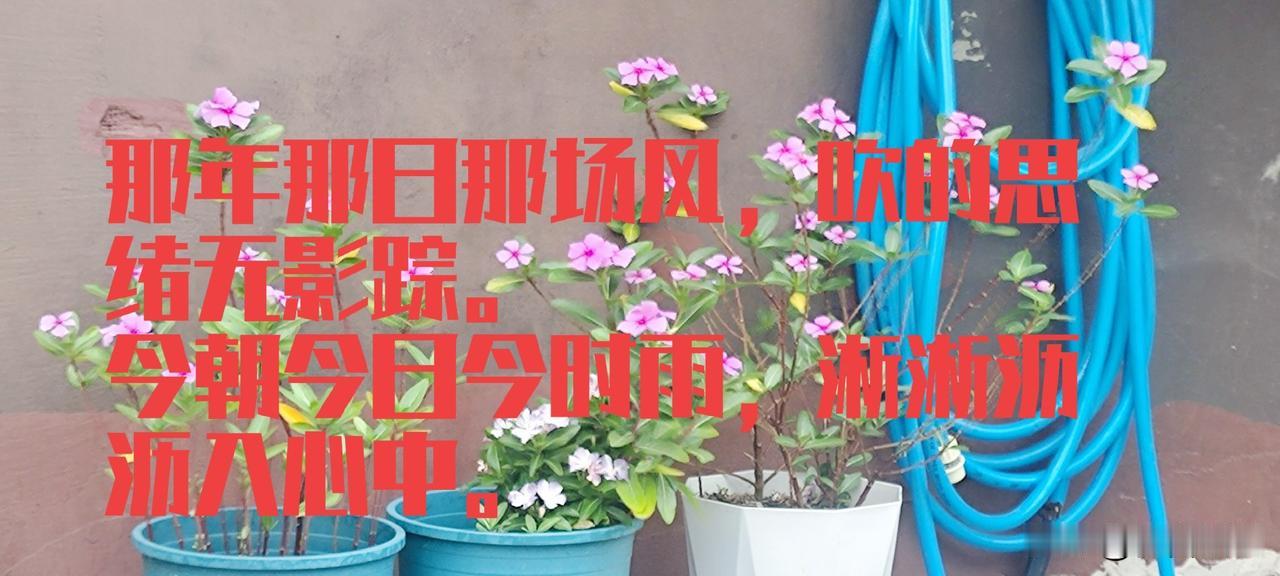今天加班，中午食堂免费送粽子一个，剥开苇叶，粽香四溢，忽然知道今天是端午节。
总
