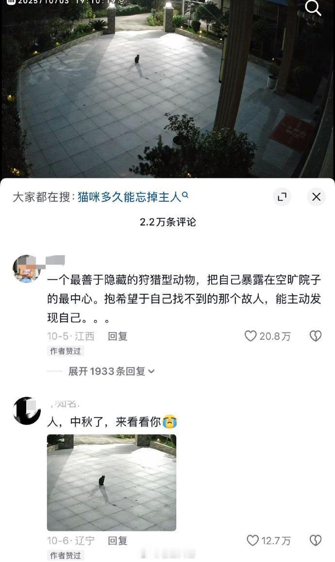 所以猫咪到底多久能忘掉主人