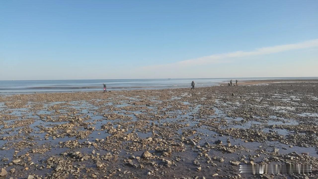 随手拍天空