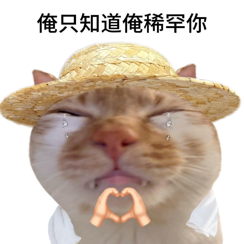 谈了才知道恋爱这么好玩好的恋爱不只是约会打卡，核心在于深度交谈。彼此坦诚内心，在