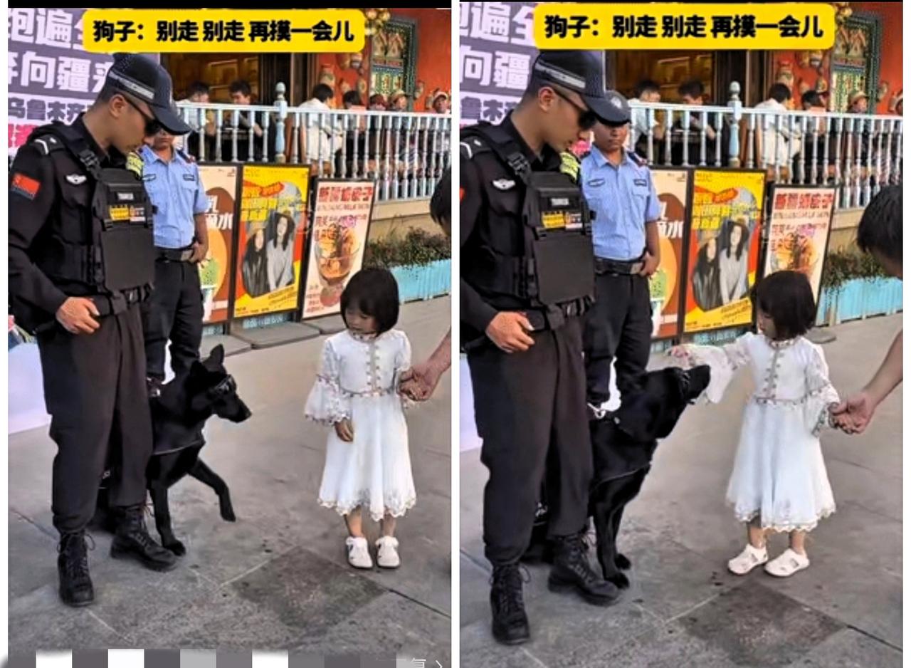 彻底解释不清了！
谁能想到，严肃执勤的警犬也有“撒娇”时刻？新疆街头，帽子叔叔带