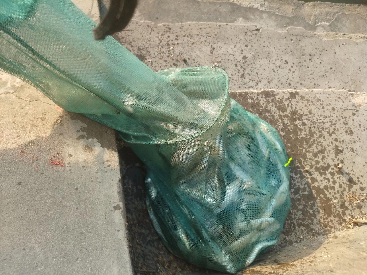 漏个口子，跑了一部分鱼