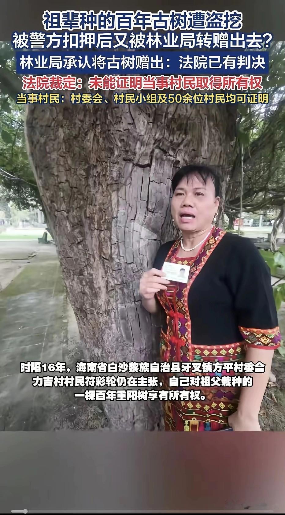 证明古树属于自己，需提供一百年前的栽植视频或照片来证明？
整整16年时间，一棵价