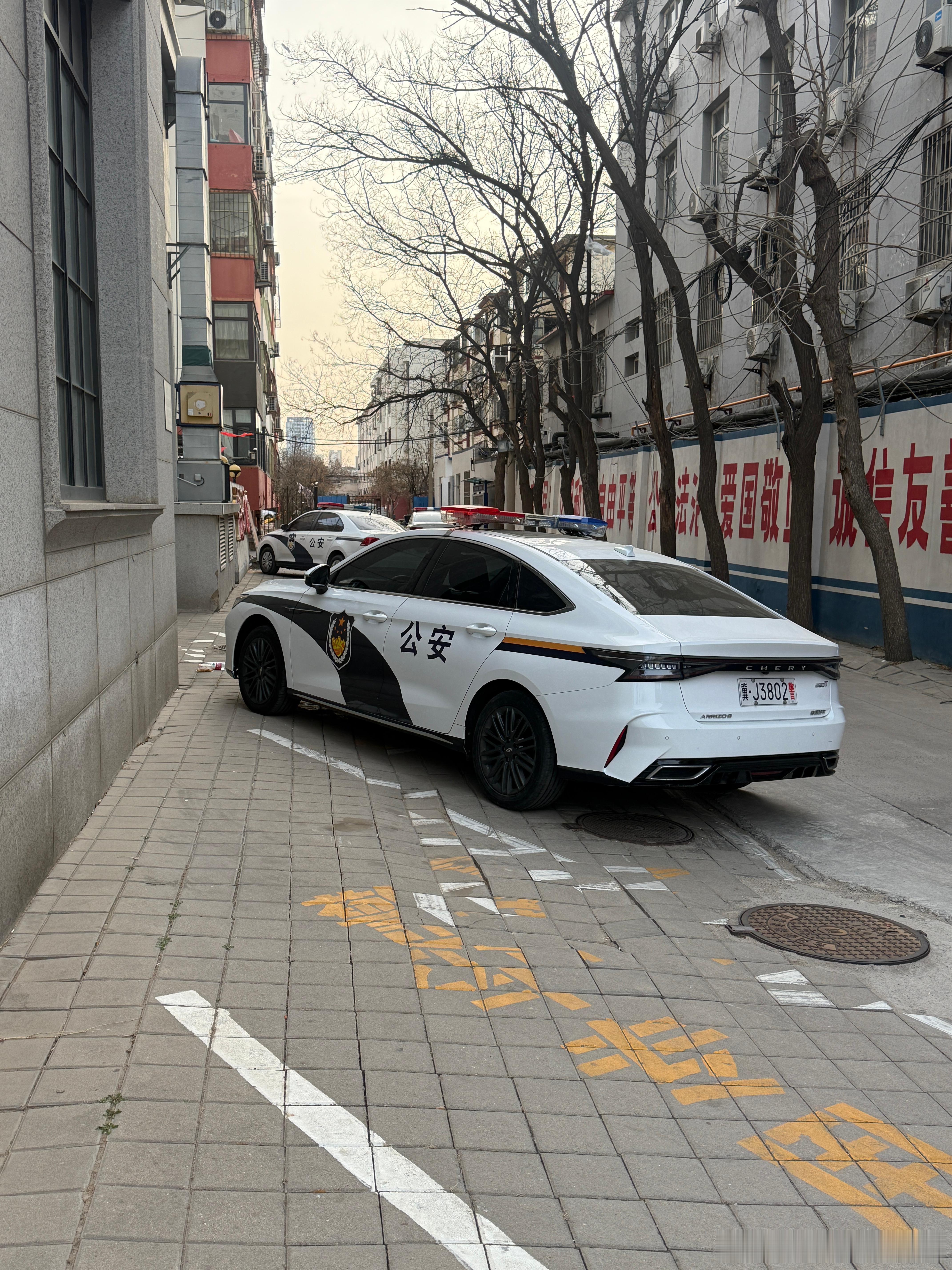 相信国家的选择 