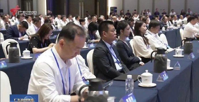 杨紫出现在广东新闻联播 根正苗红的中国女演员 