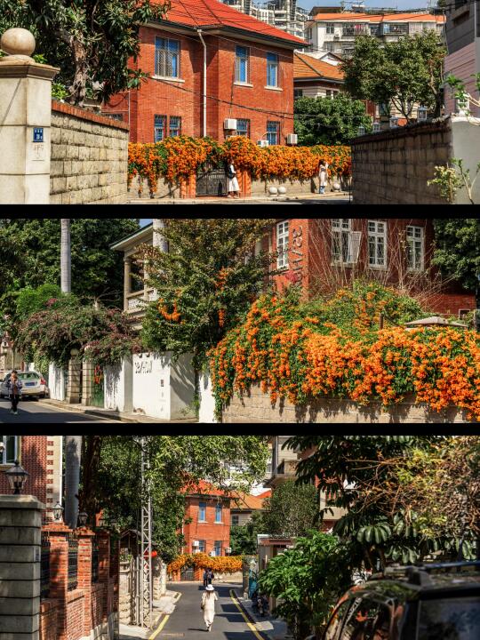 厦门拍照|以春为饵·生命是一万次的春和景明
