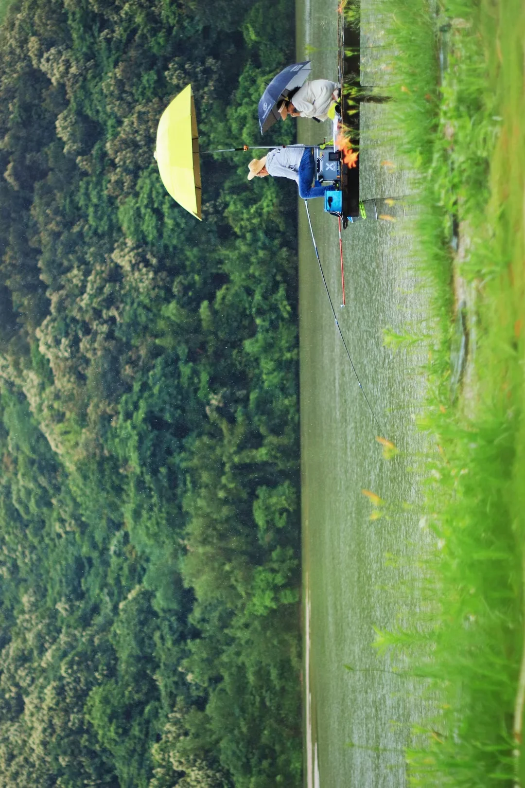 国庆避开人潮 🏜️ 奔赴秋天的绿野仙踪~