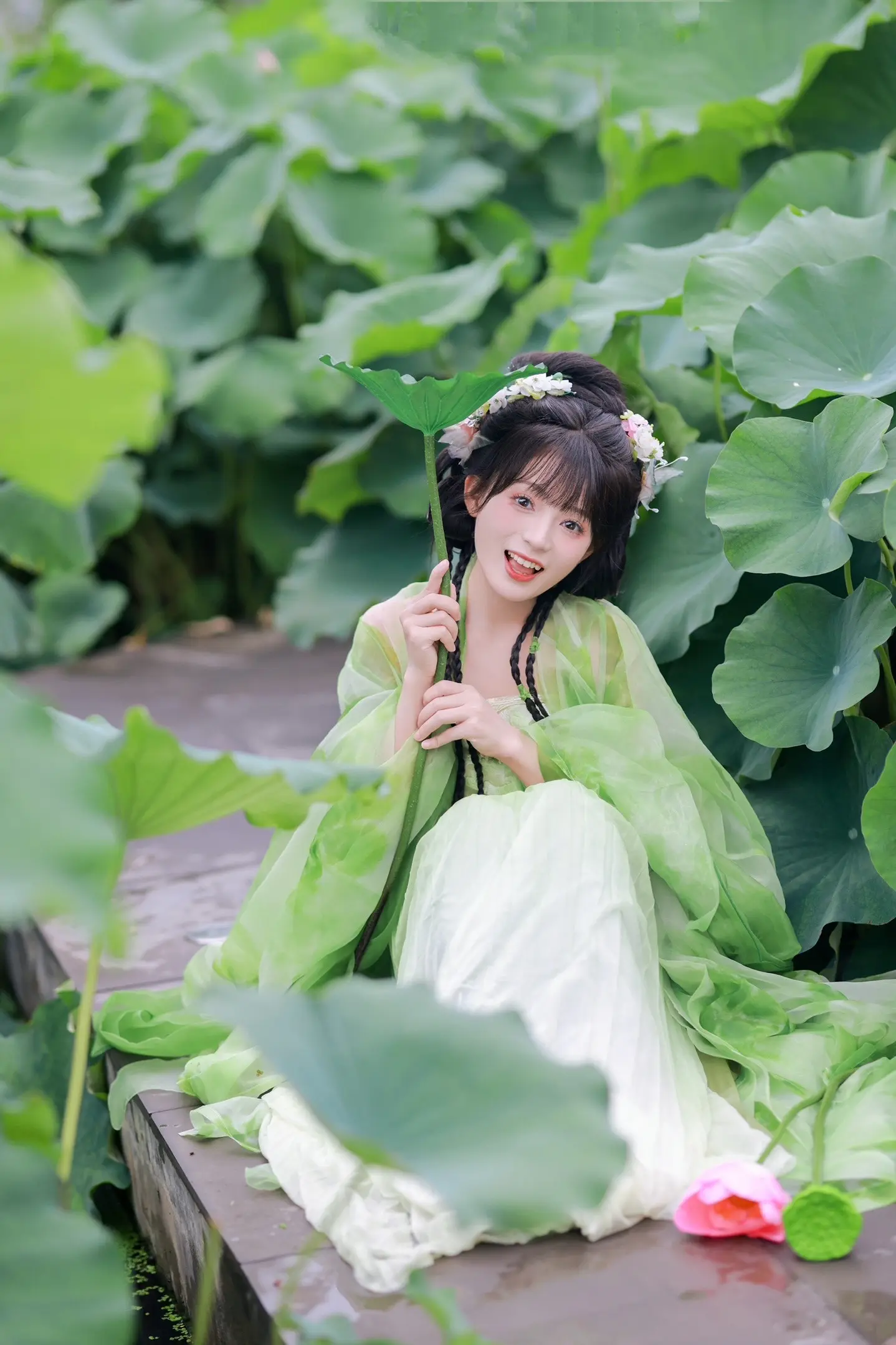 夏日炎炎 好运莲莲。