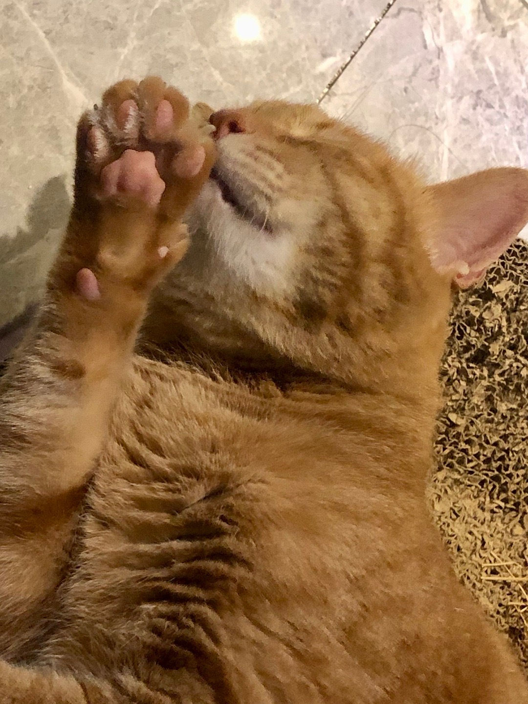 梦里吃得香 ​​​