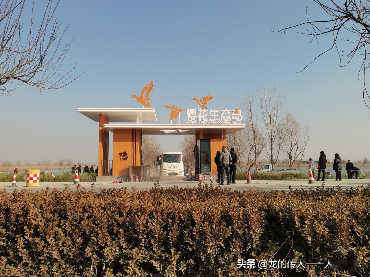 天南地北大拜年