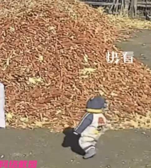 吉林有妈妈把快两岁的孩子，送到农村姥姥的家里过上一段生活。

这天妈妈想自己的孩