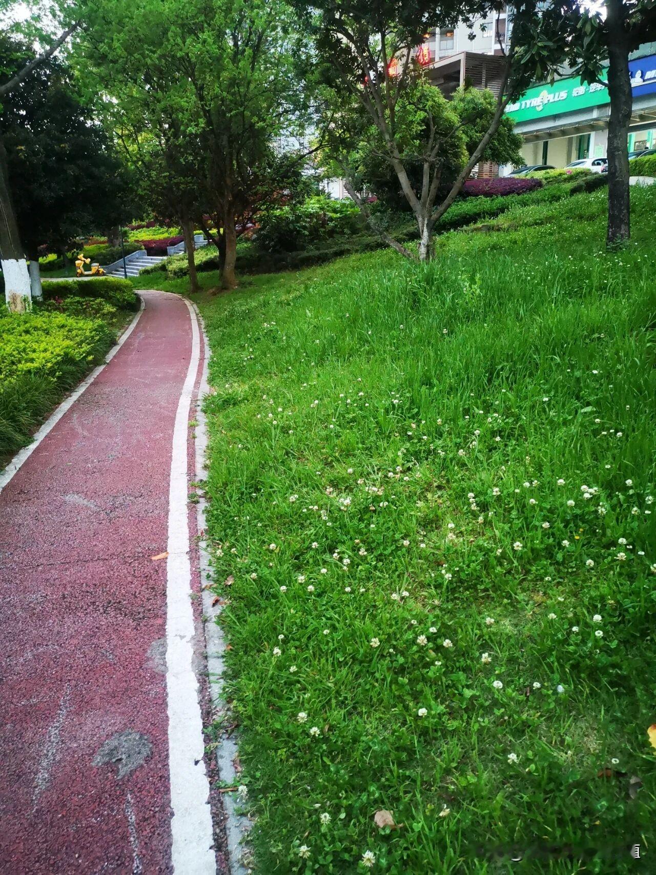 公园里，
春风徐徐，
微风不燥，
阳光正好！
适合跑步哦！
绿柳荡湖岸 街角柳绿