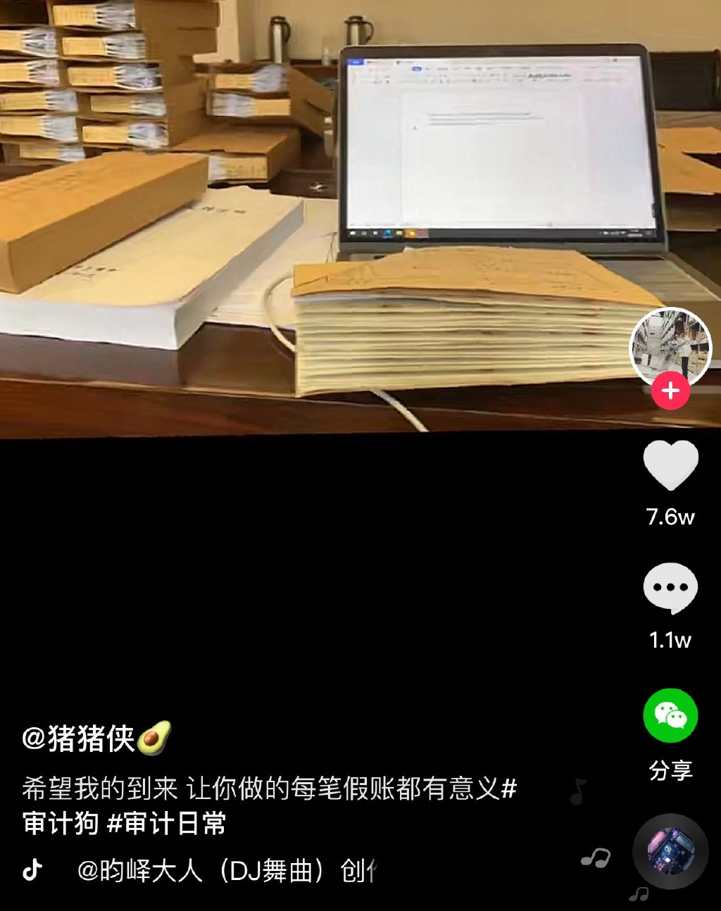审计还需要算猪吗 ​​​