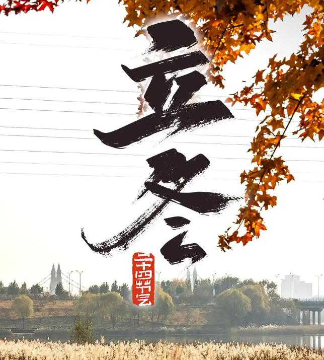 是不是昨天还在穿卫衣赏秋，今天一出门就被冷风冻得一哆嗦？没错！11月7日，咱们正