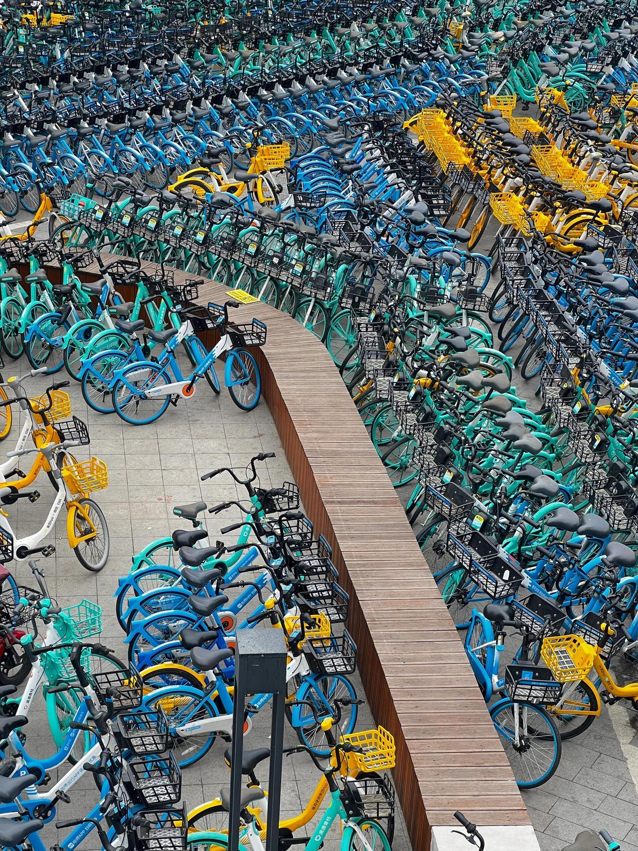 江洋大盗何奇能？
招摇闹市祸害城。
共享单车偷上瘾，
窃得万辆世人惊。

销赃暗