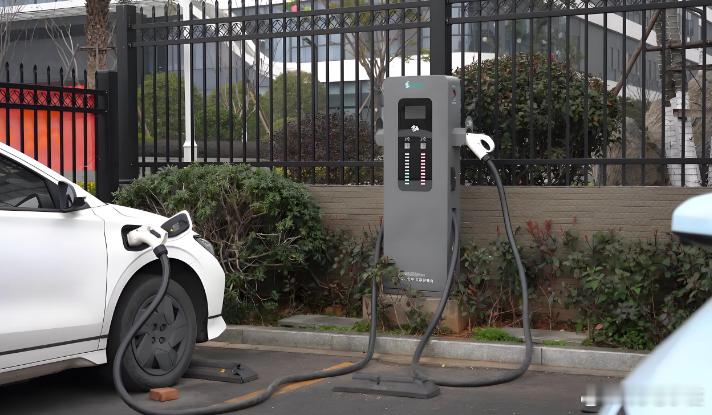 驴充充：以笃行之姿，充启绿色未来新篇章在时代浪潮奔涌向前的今天，绿色出行已成为不