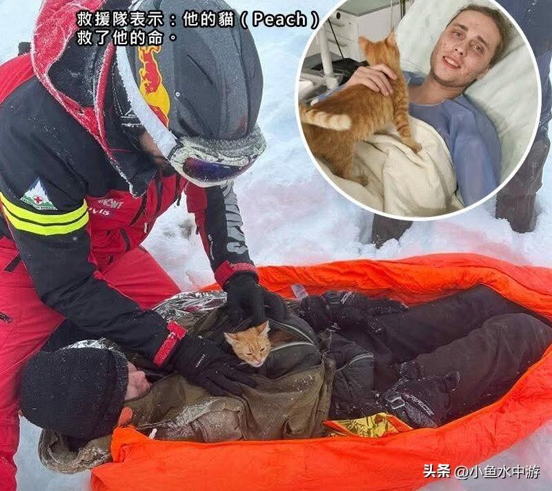 暴风雪深谷受困整夜 ，男子靠外套里的小猫活了下来！
 
在罗马尼亚北部喀尔巴阡山