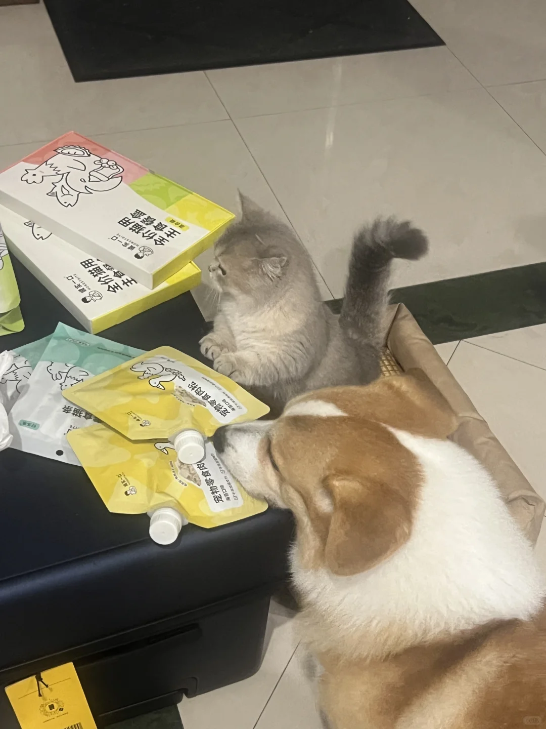 双十一全给你俩消费了