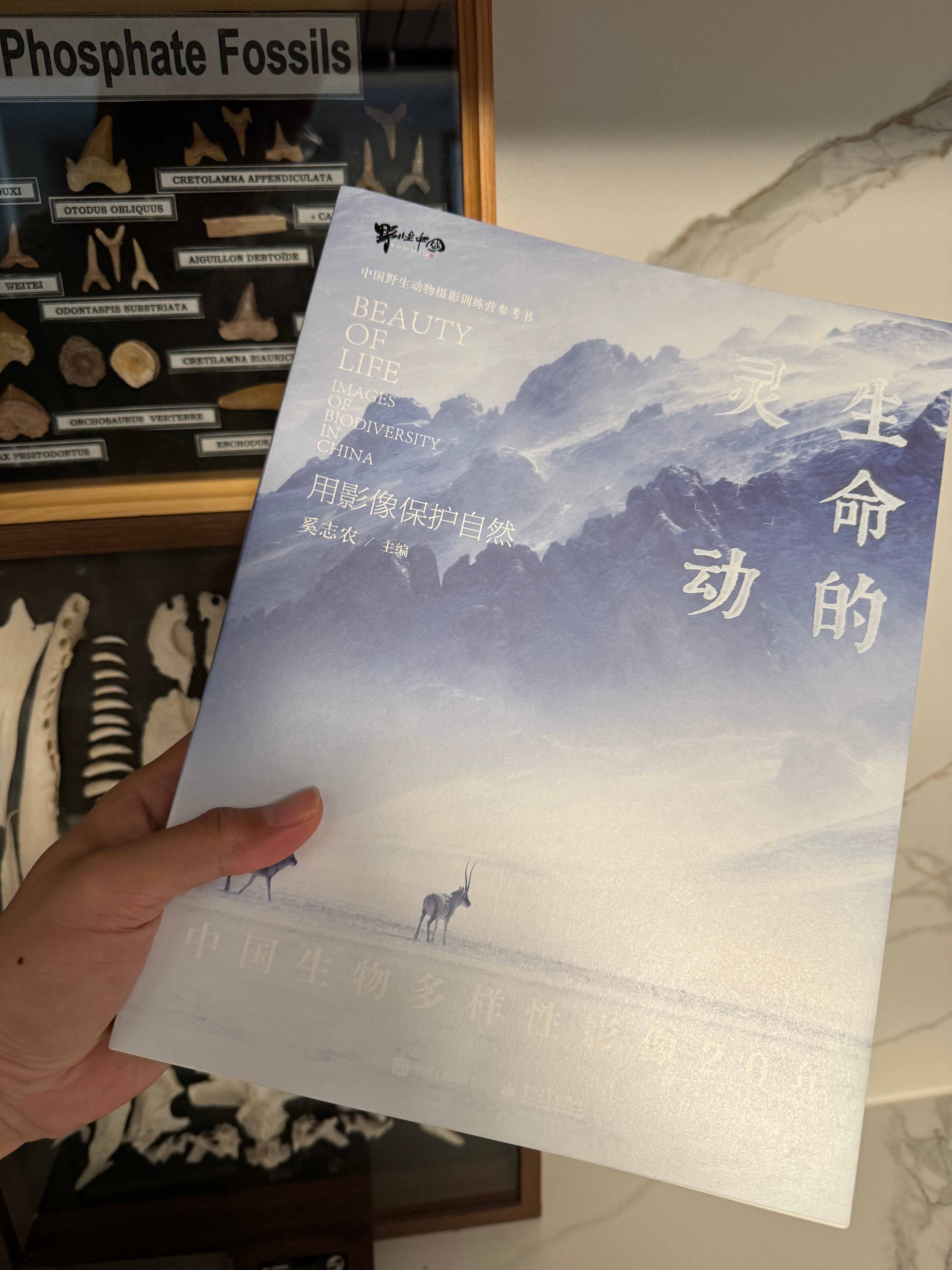 转发和评论里分别抽一位送出这本《生命的灵动》。#嘤嘤嘤的福利# 今天来分享的图书