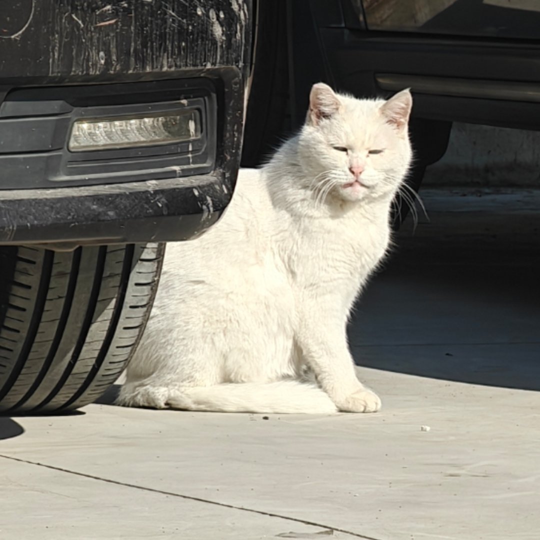 🔻人人都有=人人都没有，客群还是会向优势品牌集中 