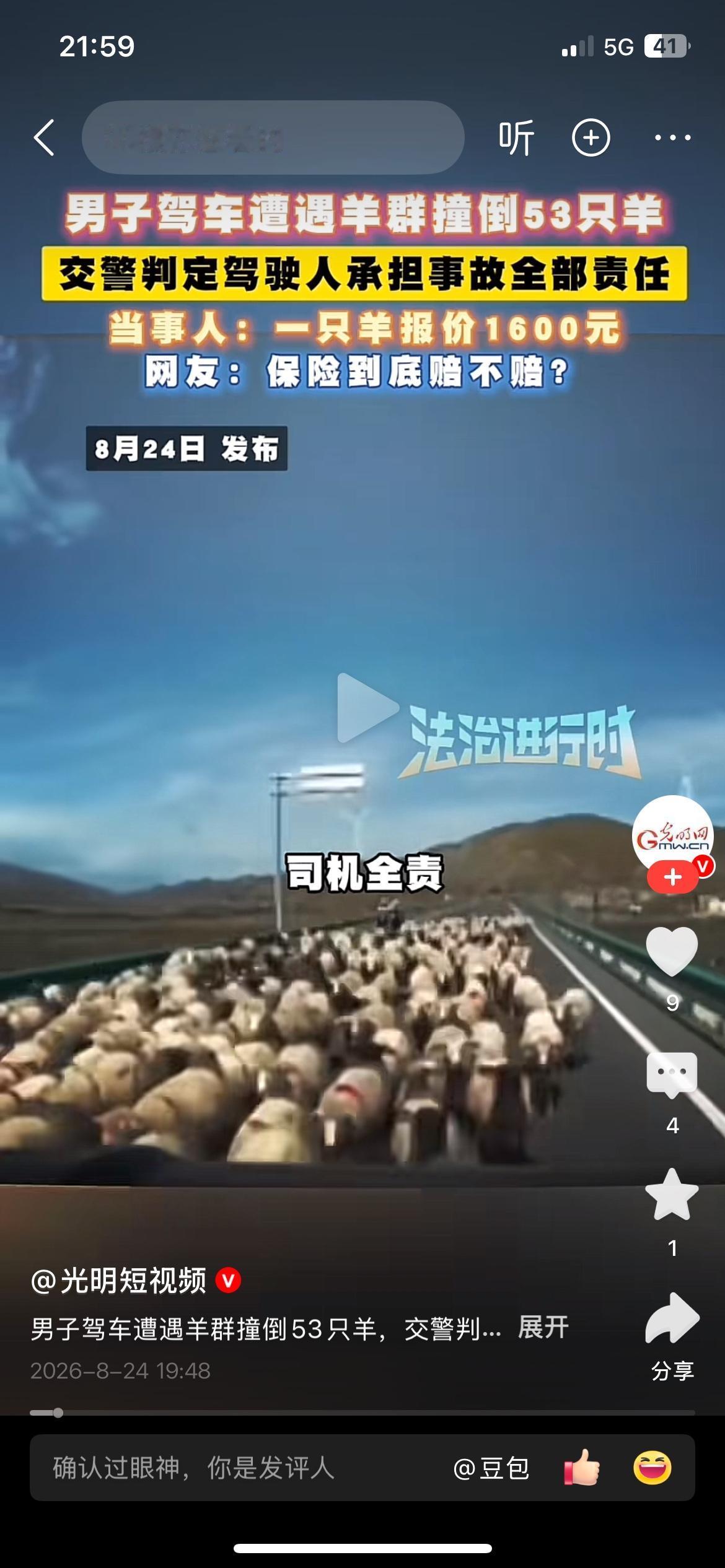 男子驾车撞上羊群，53只羊伤亡，司机被判事故全部责任
高速路上出现一起特殊交通事
