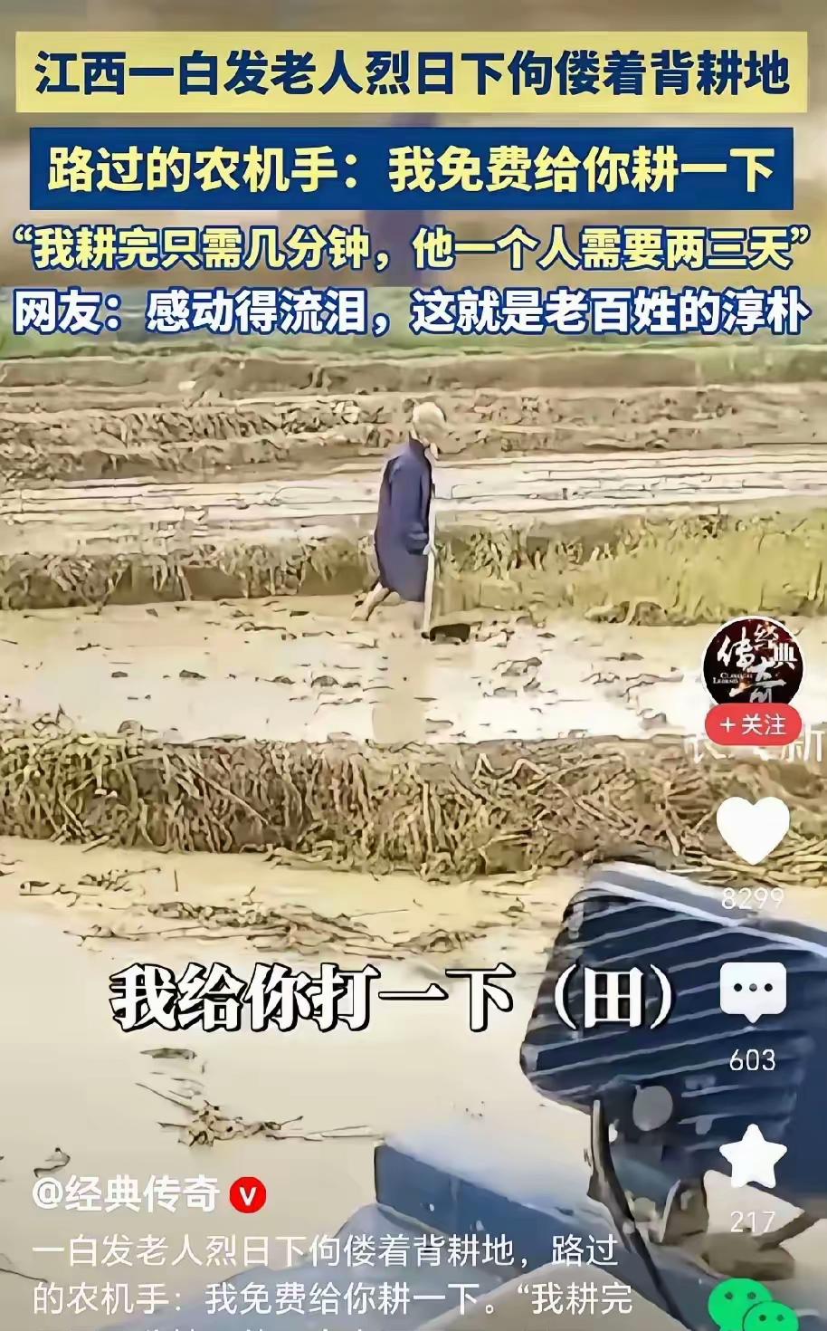 泪目了！江西，一位白发老人，在烈日下佝偻着背耕地，被太阳晒得黝黑的皮肤挥汗如雨，