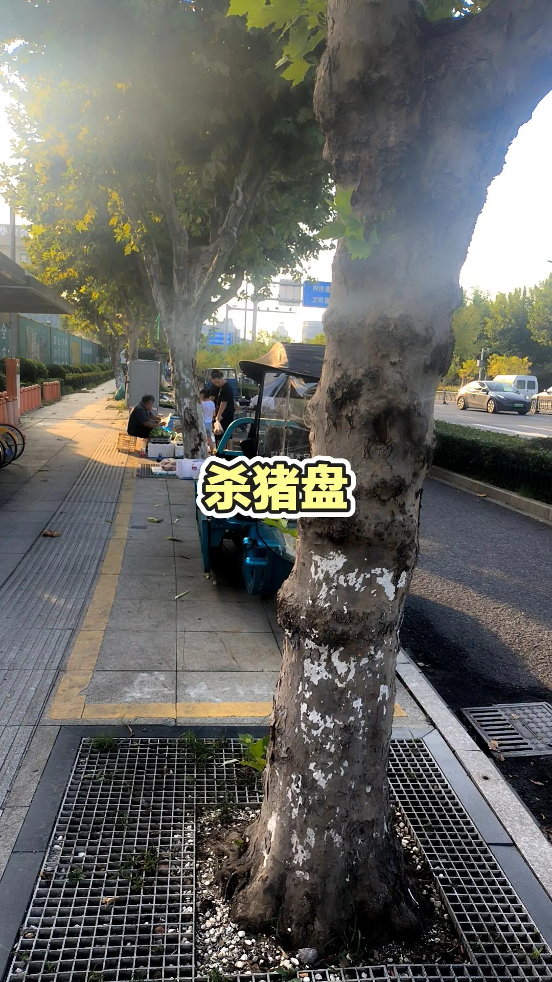 每日推文