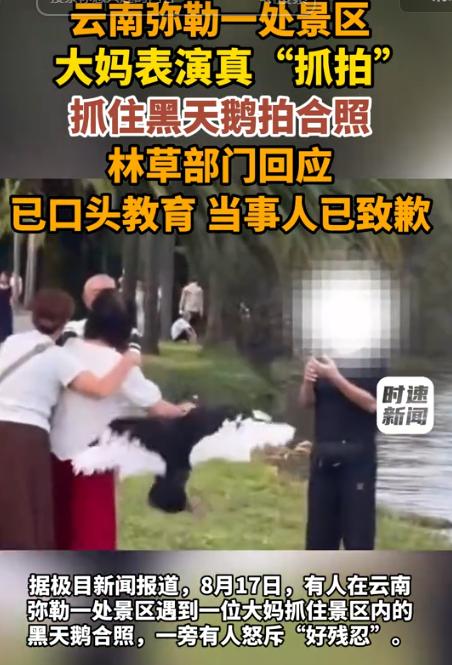 “太过分了！” 8月19日起点新闻报道，云南弥勒湖泉生态园，有个老年旅行团过来游