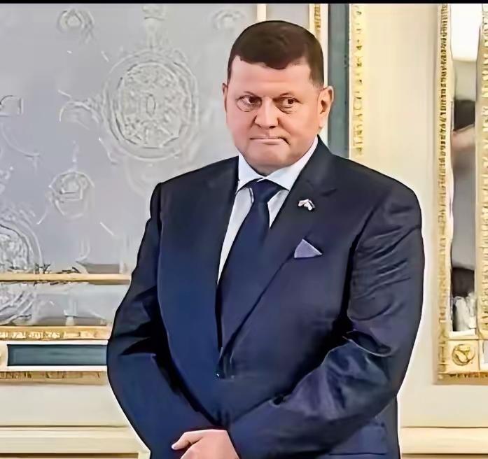 难得啊！
乌克兰前总司令扎卢日内居然和泽连斯基保持相同的意见，就是不答应用领土换