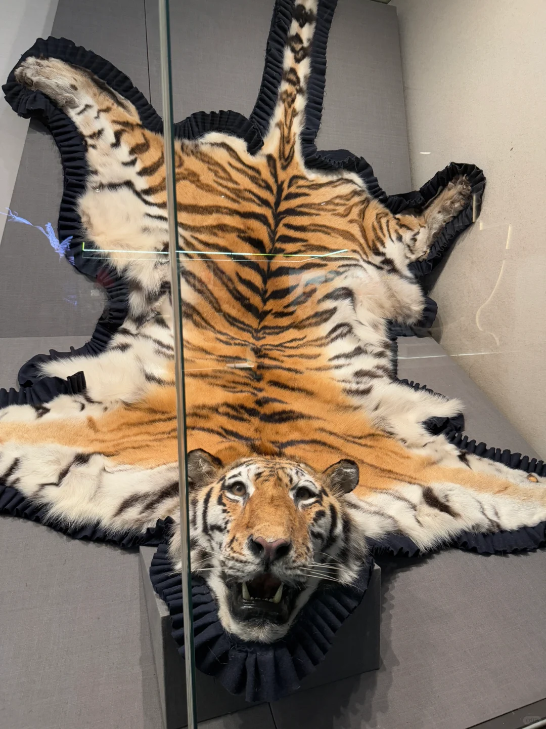 海关博物馆|在北京必逛的宝藏小众博物馆‼️