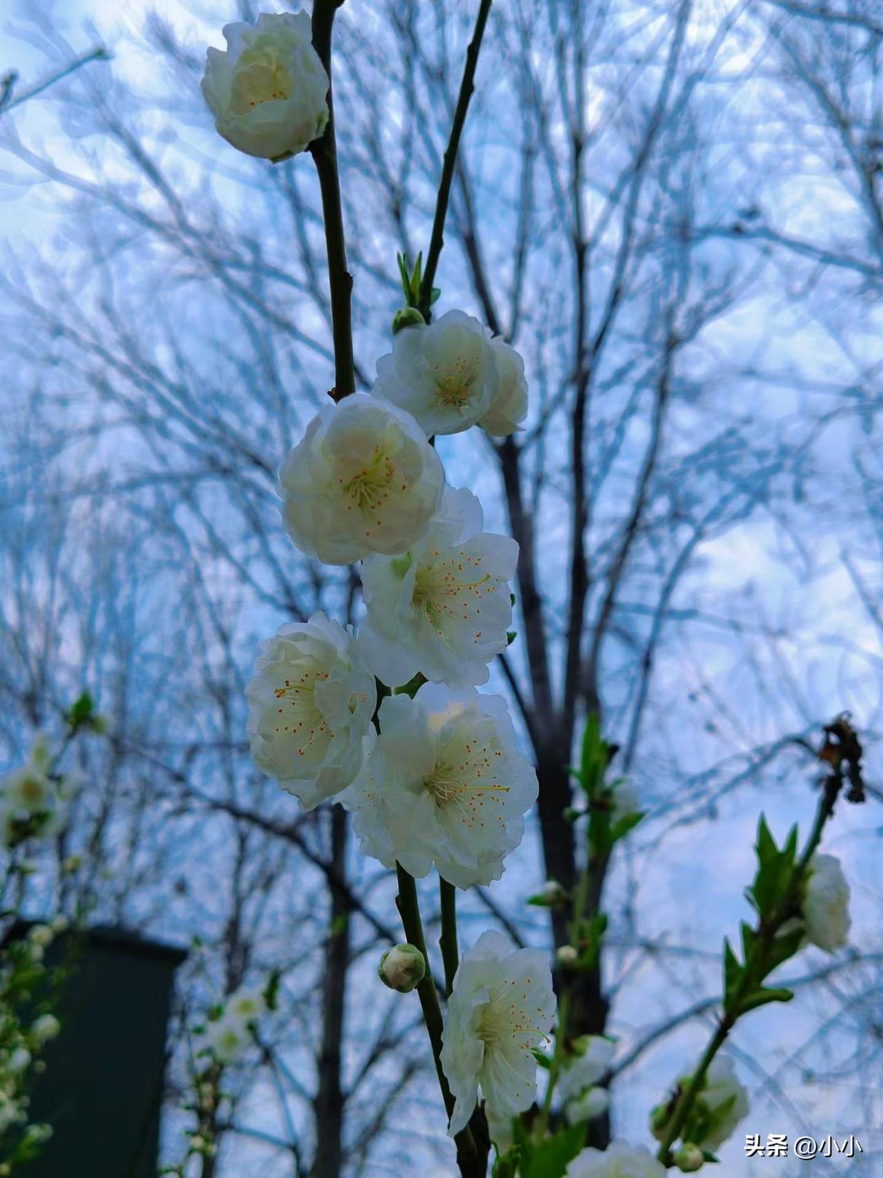 倒班第一晚，生物钟彻底乱了，整夜睡不着
 
倒班，才真正体会到什么叫身心煎熬。