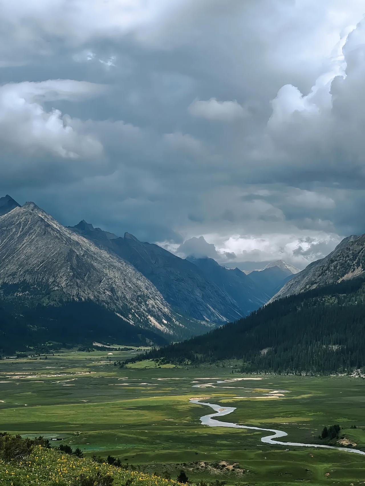 夫妻二人皆从事教育工作，还拥有名师工作室，可自家孩子却患上了抑郁症。你说说，你们