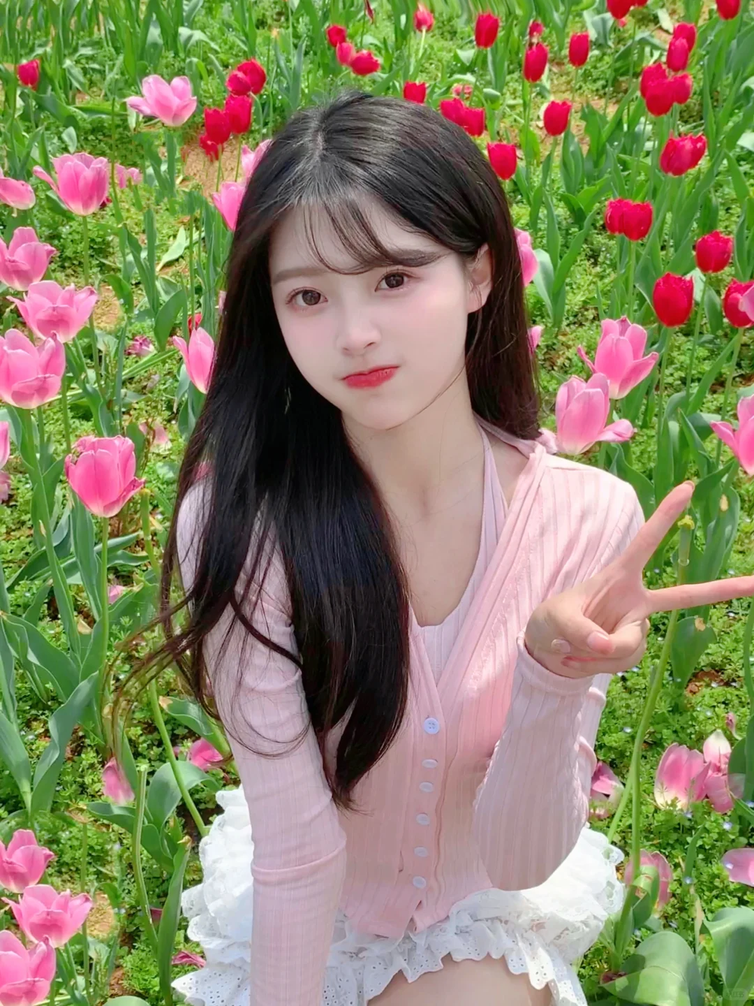 春天就要和郁金香一起拍照～🌷