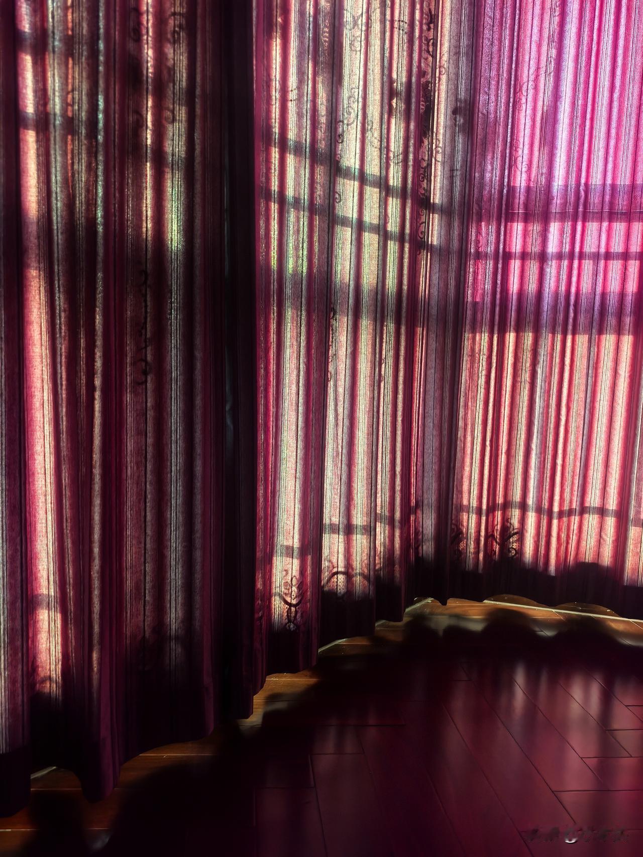 差一点做了冤大头

没搬家之前，每天睡到8:30左右才起床。

搬家后，生物钟“