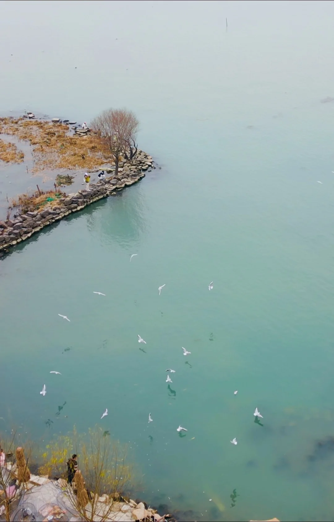 鸥气满满的一天～