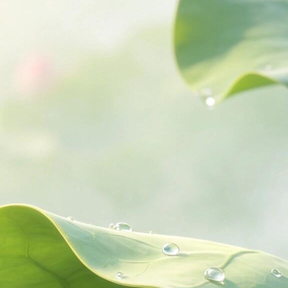 日行一善  💫阳光信用  💫‎日行一善 再长的路，一步步也能走完；再短的路，
