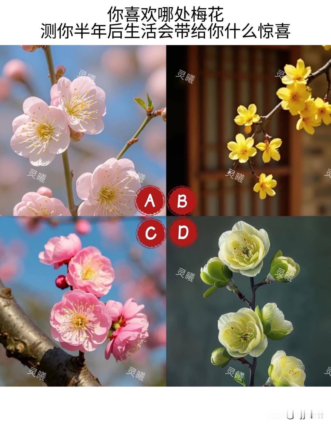 测你半年后生活会带给你什么惊喜