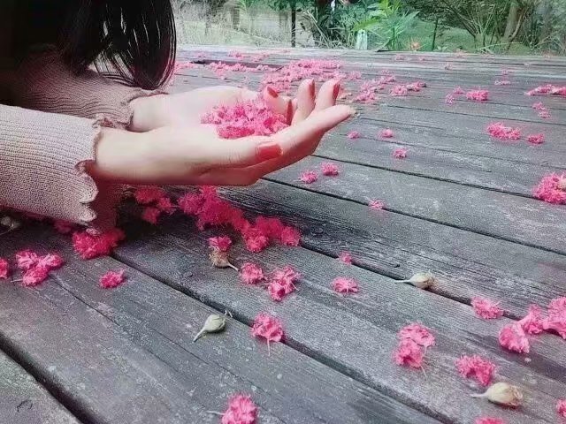 生活手记岁月轻轻走，时光缓缓流，从春到夏，又步入秋。拾起素日里的点滴画面，红尘中