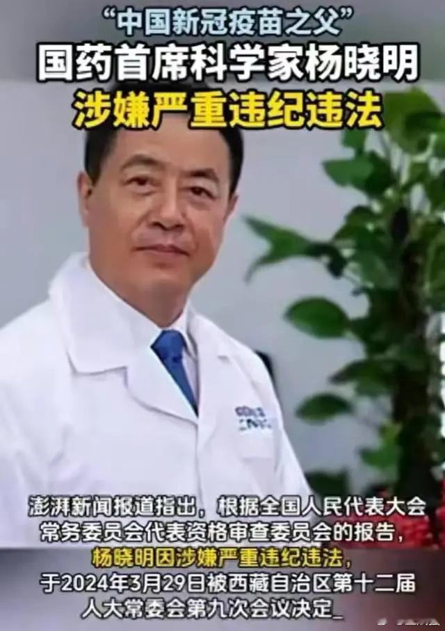 【疫苗之父被正式逮捕】曾被大众冠以“新冠疫苗之父”名号的杨晓明，一度是全民敬佩的