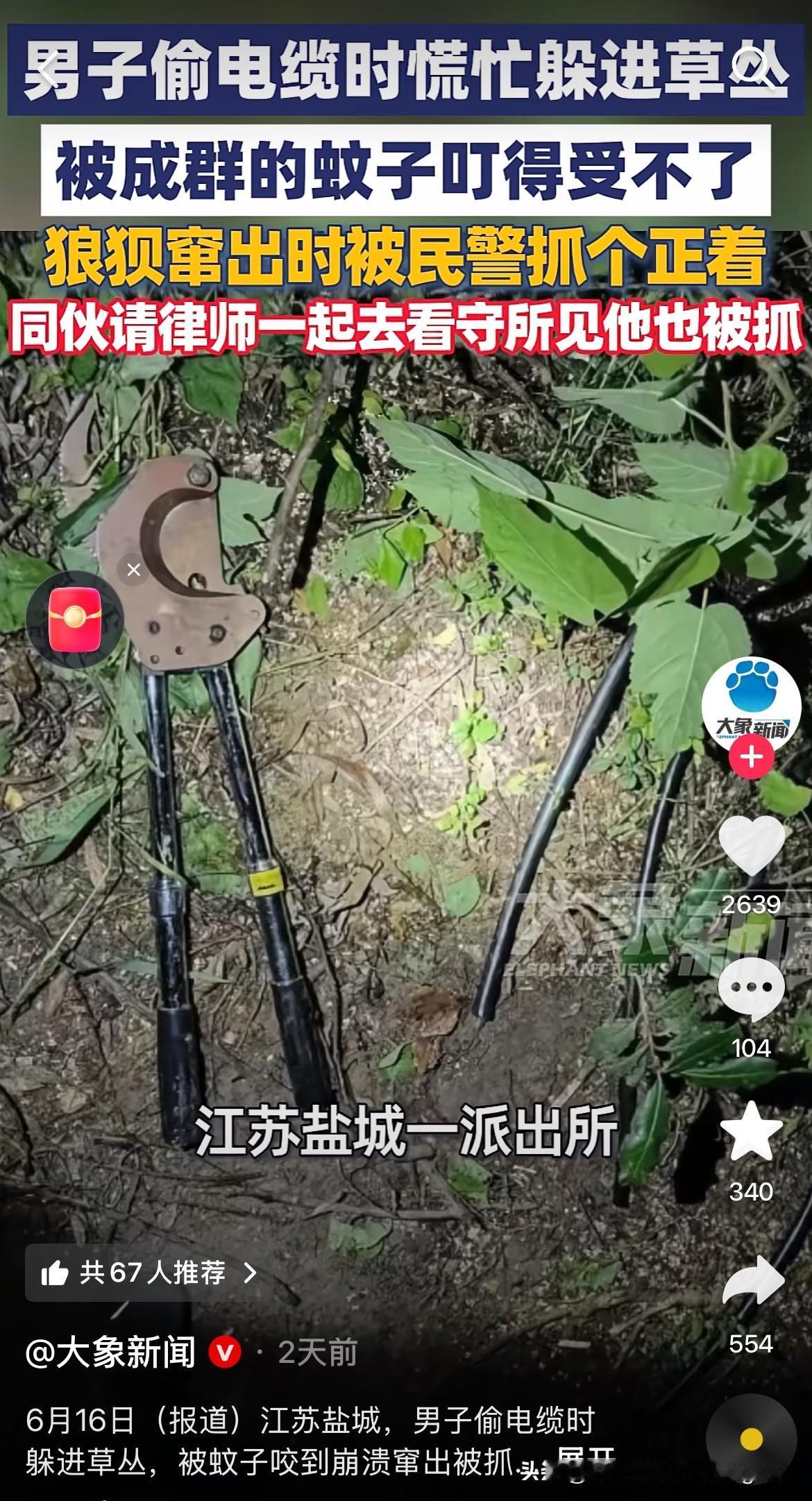 看来这次是蚊子立了个大功！
6月16日报道的，江苏盐城一派出所破获了一起电缆盗窃