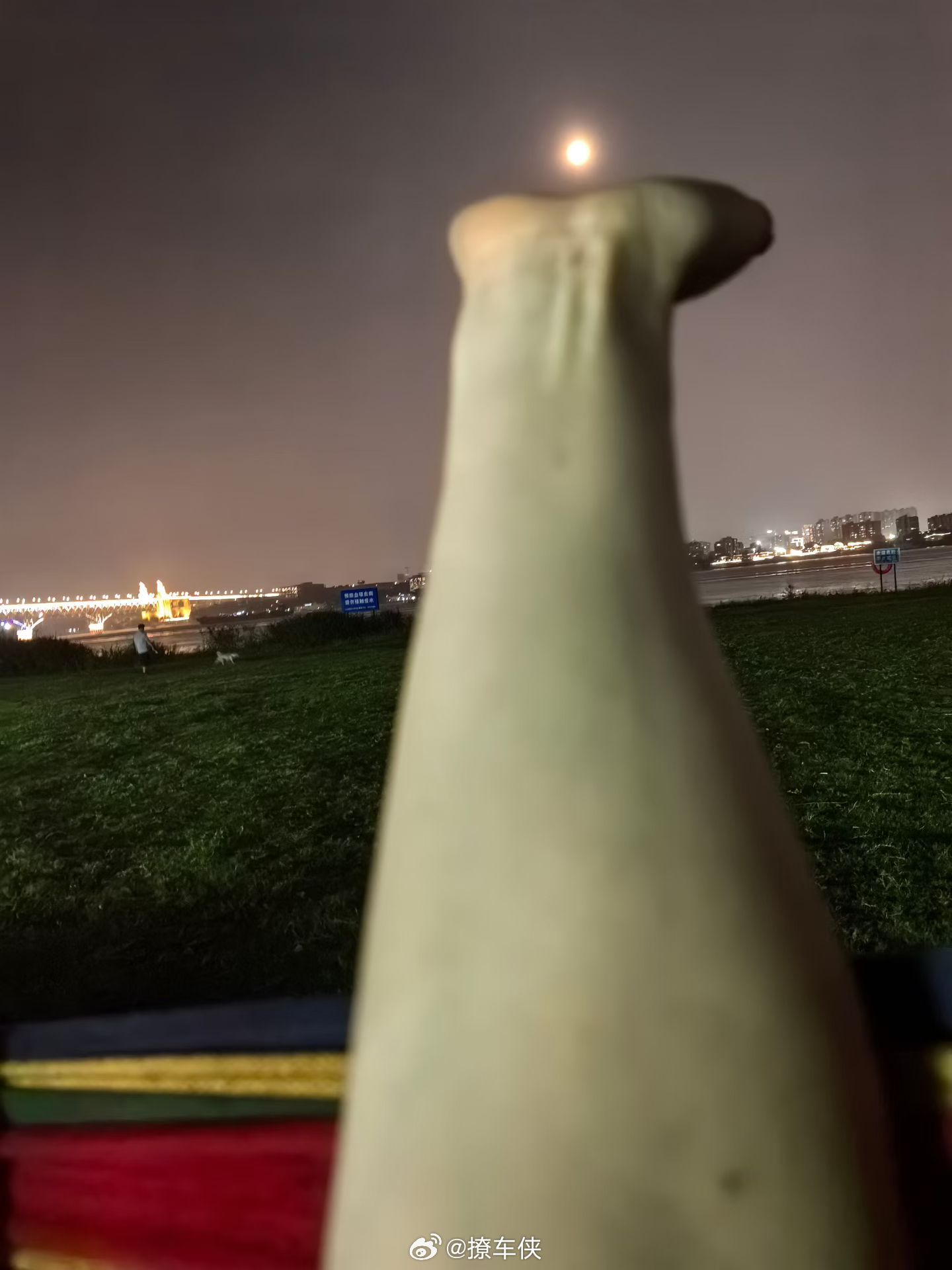 听说今天夜里有“天狗吃月亮”能熬夜的替我看看血月长啥样[嘻嘻] ​​​