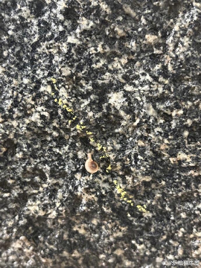 易烊千玺石头上的蜗牛   易烊千玺石头上的蜗牛代表了更多独特的一份含义了呀，晒出
