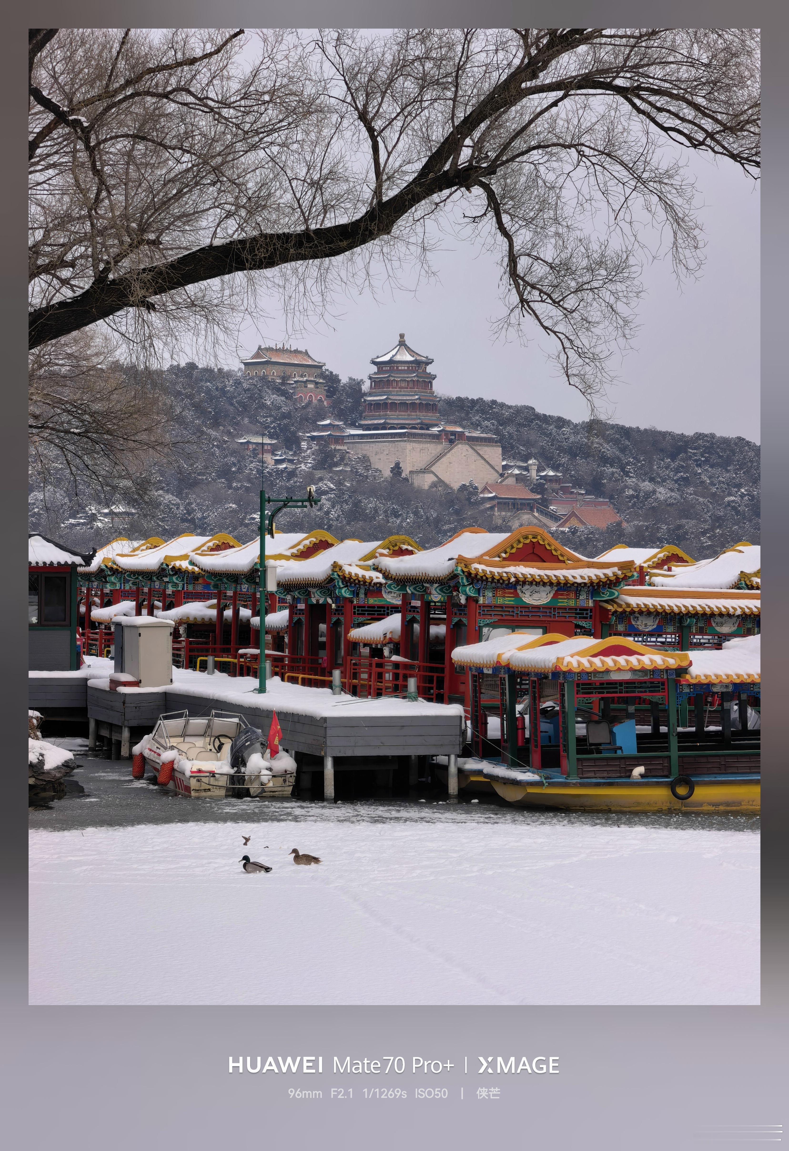 雪落颐和，古建与苍松共披银装，天地间唯余寂然与庄严。西山如黛，塔影静立于苍茫之间