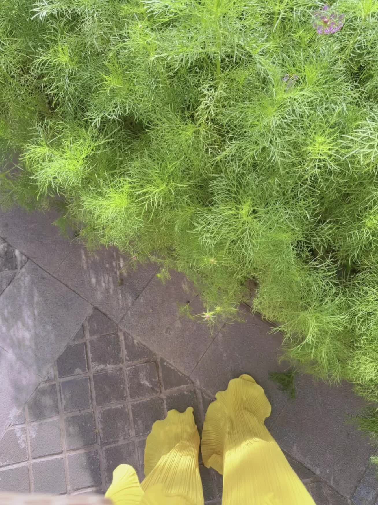 住进风景里 幸福是馈赠给知足者的礼物🎁