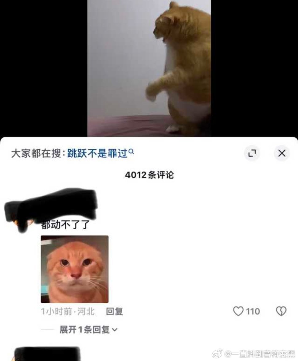 故意把猫养成这么胖对猫伤害特别大…这视频为了蹭流量已经算在虐猫了吧。评论区里也很