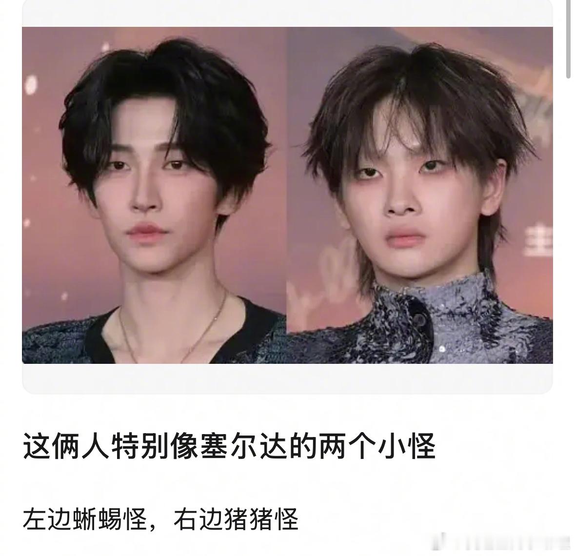 网友锐评🐧选秀的两位C刘宇、周震南：像蜥蜴怪和猪猪怪[允悲] 