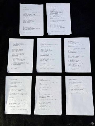 庄法大艺术家烫嘴 外国选手挑战快嘴中文歌《大艺术家》，短短一两天准备，发音虽烫嘴