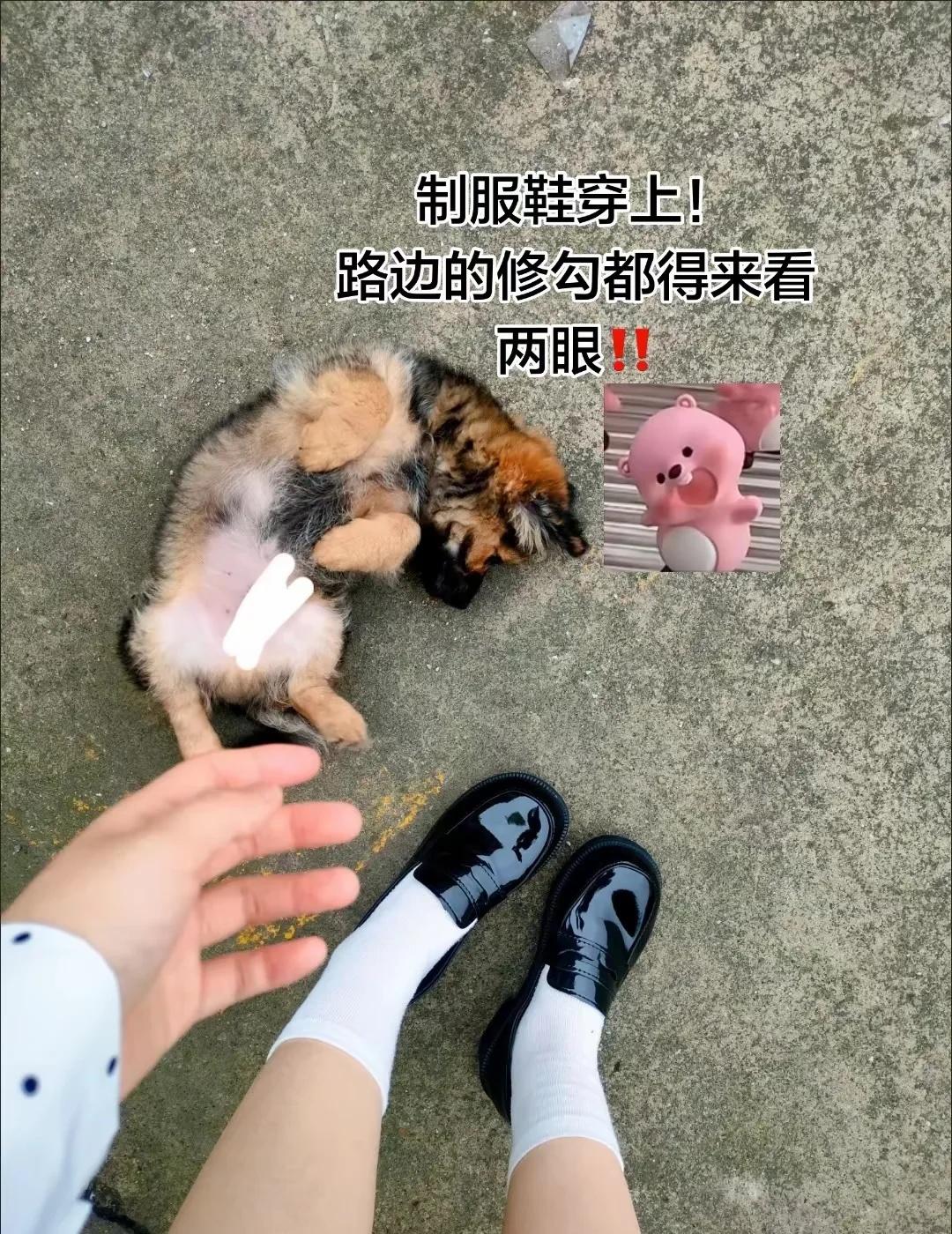 制服鞋穿上！路边的修勾都得来看两眼
哈哈哈袜子控🧦 鞋控の日常 白袜 可爱小皮