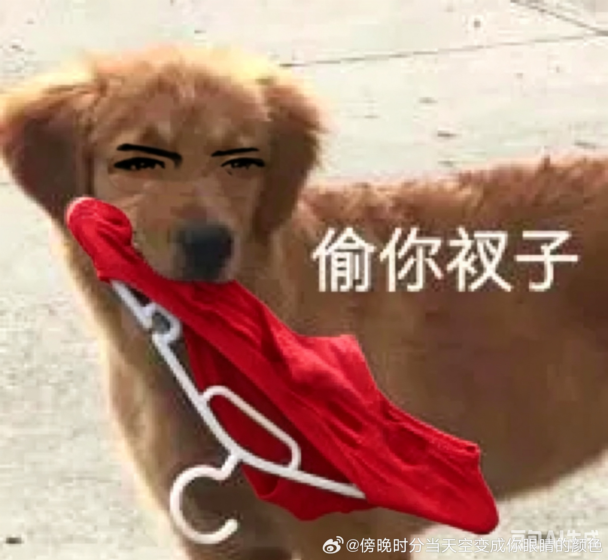 夏以昼 请广大网友注意⚠️在街上看见这条够请速速远离！如若它盯上你将会抢夺你的裤