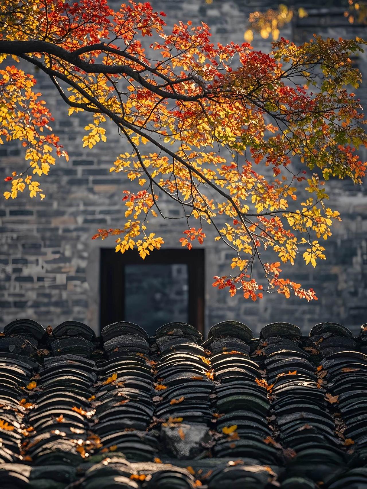 老门东的秋意总藏在不经意的角落，黛瓦当纸、红枫为墨，一抬眼就撞见了金陵城最浓的秋